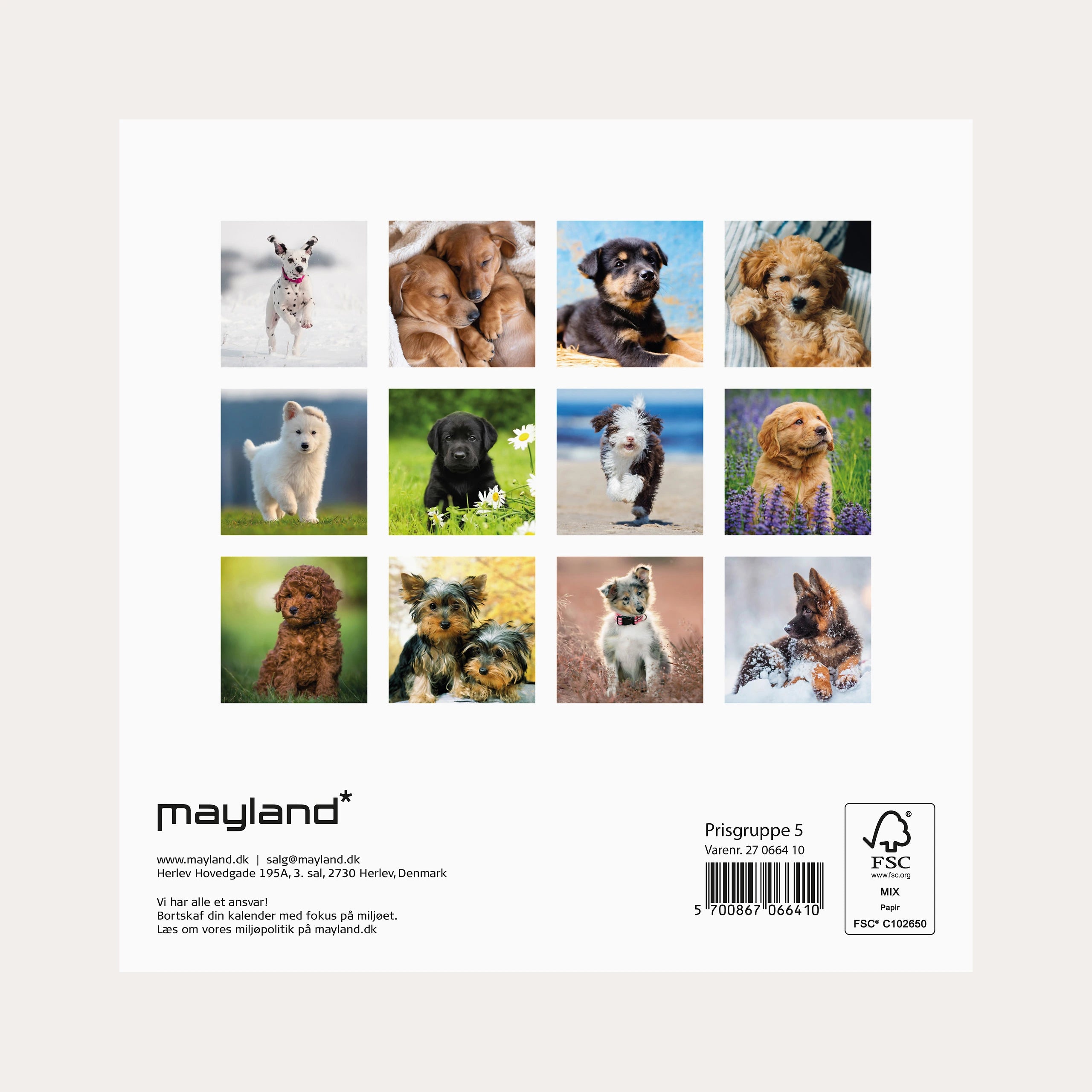 Vægkalender mini Hundehvalpe 2027