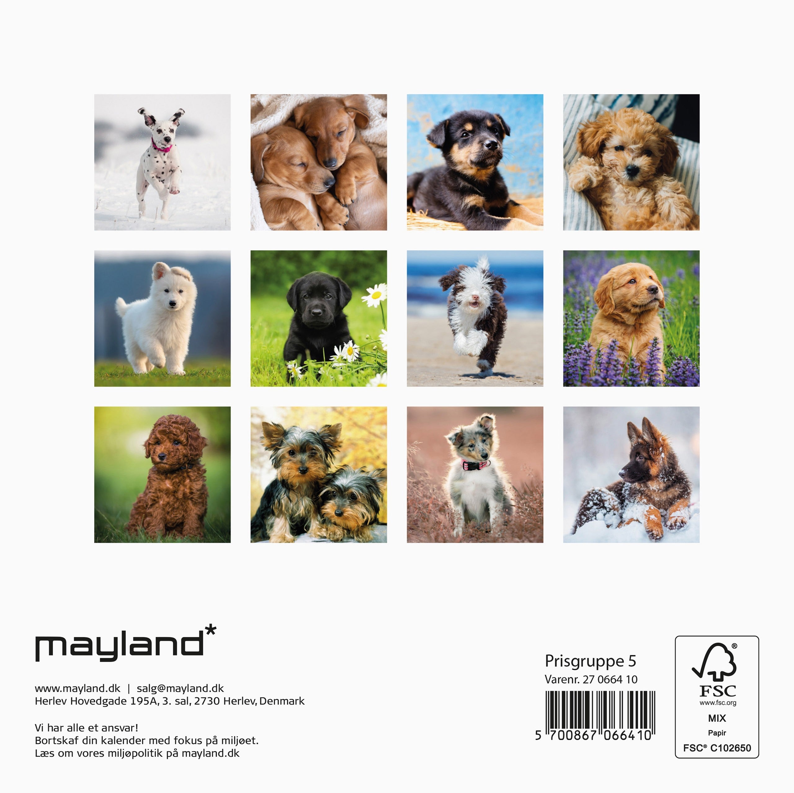 Vægkalender mini Hundehvalpe 2027