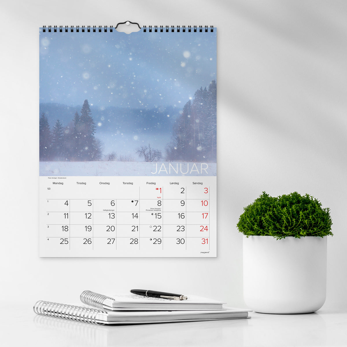 Vægkalender Dansk natur 2027