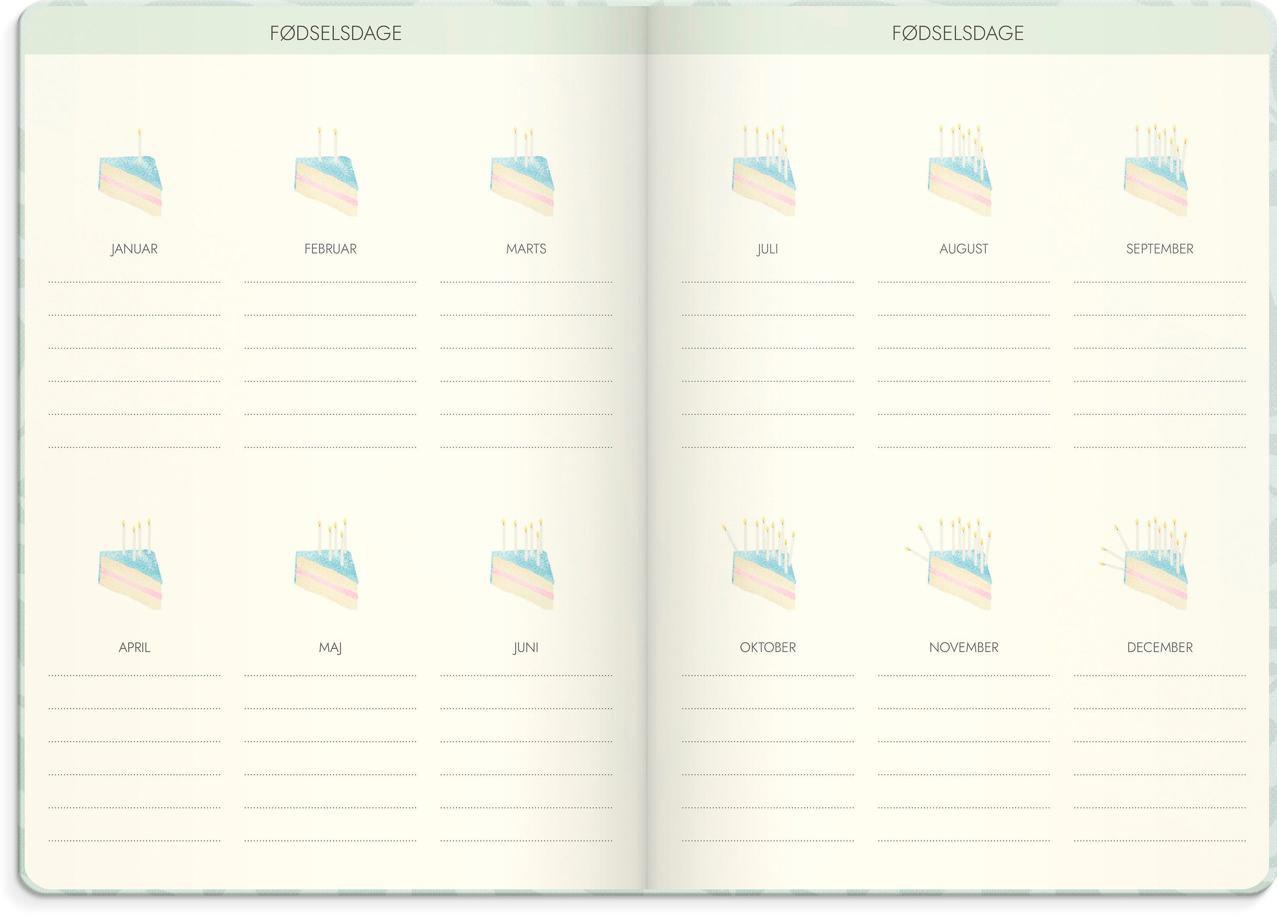 Life Planner Dream & Do 2027