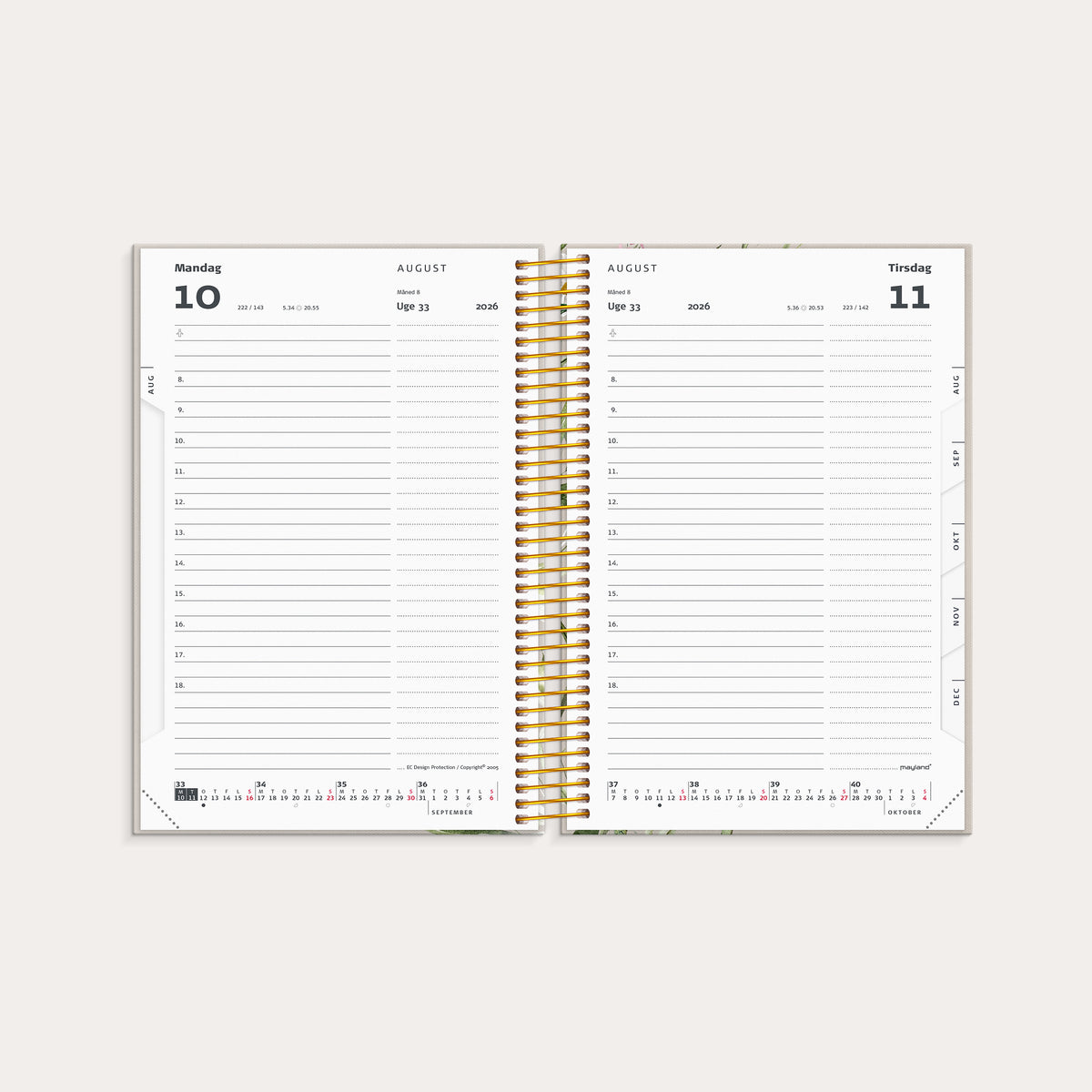 Studie Stor Story dagkalender 2026/2027