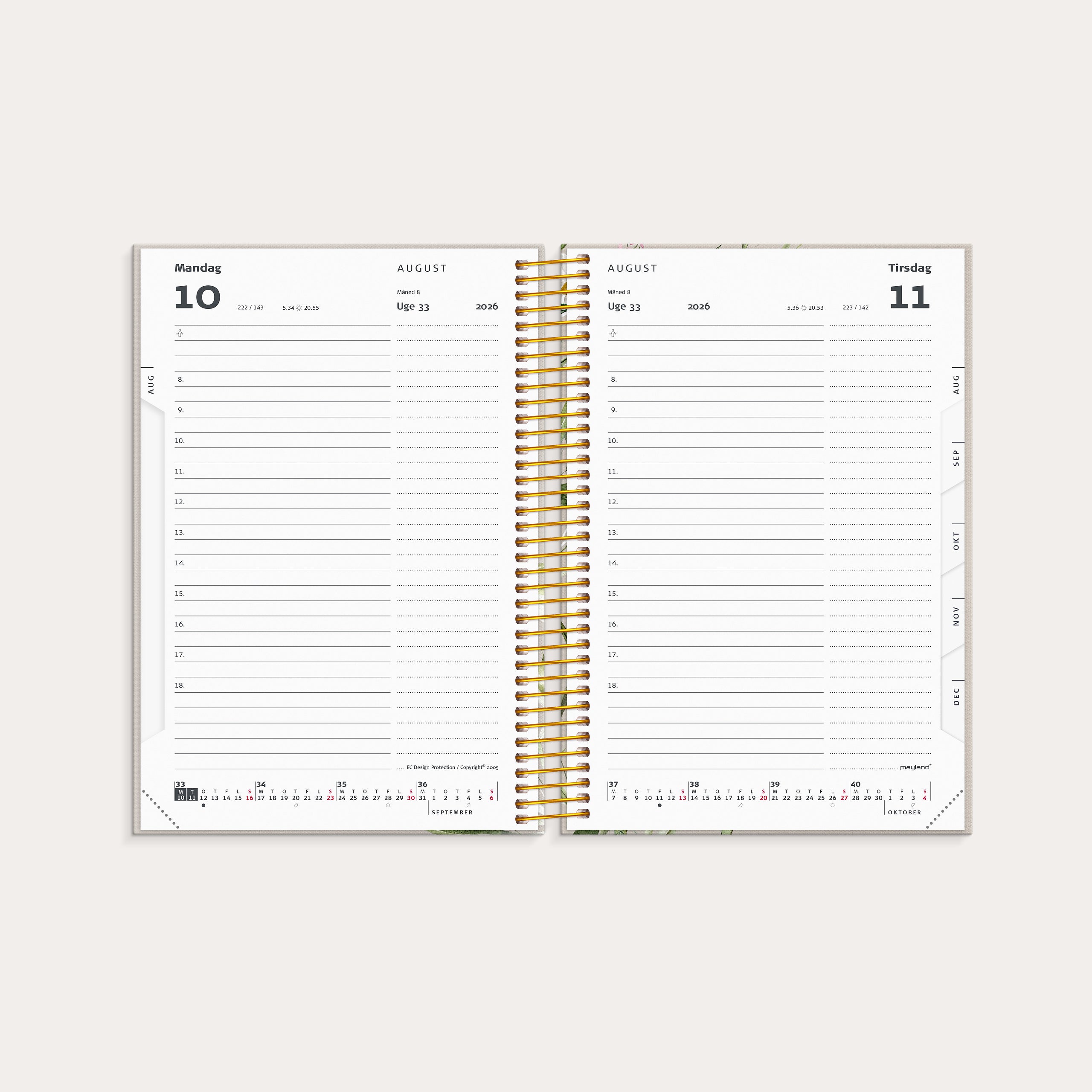 Studie Stor Story dagkalender 2026/2027